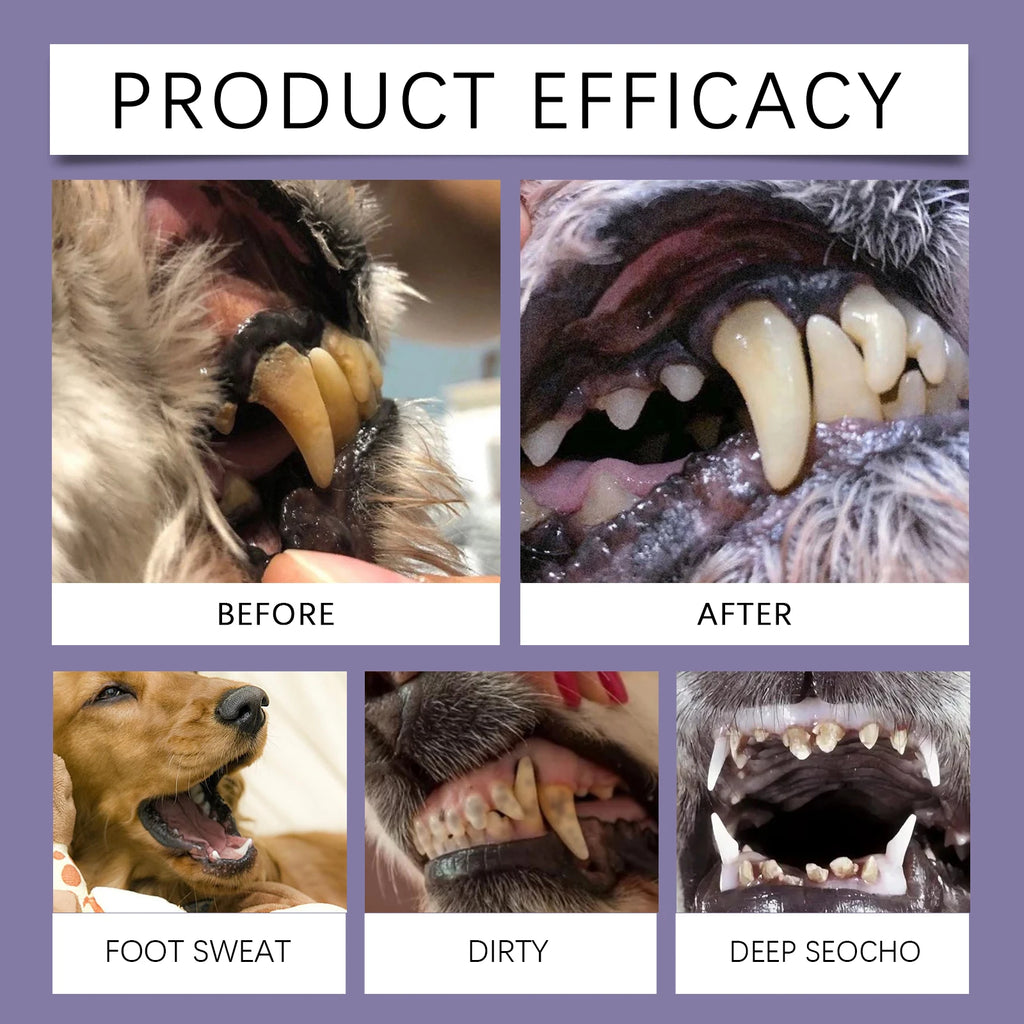 Hot Sale Yegbong Strengthen Teeth Pet Oral Repair Gel Stains Cleaning Yellow Removal Teeth Whitening Pen for Dogs Cats