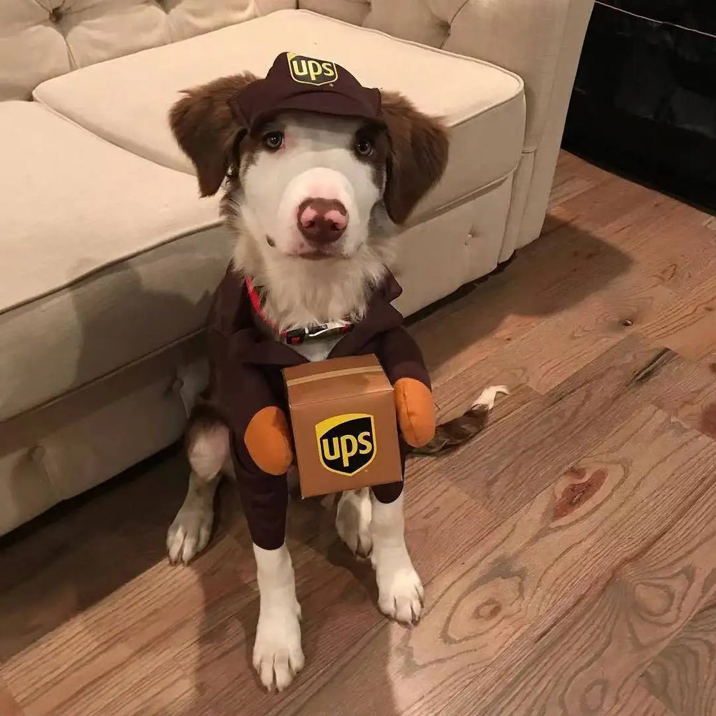 Pet Cosplay Courier Clothing for Dog Cats