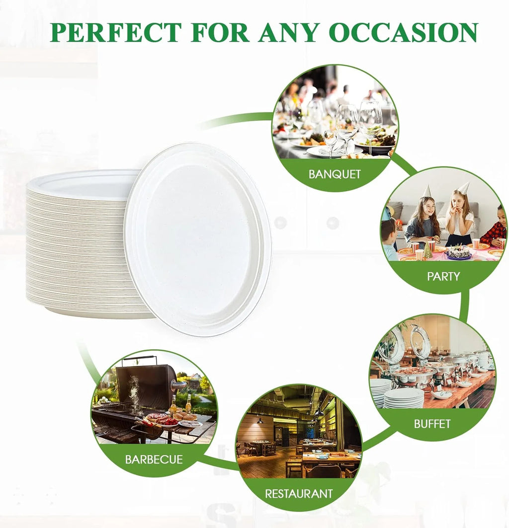 PFAS-Free 125-Pack 10 Inch 3C Heavy Duty Disposable Sugarcane Bagasse Paper Pulp Plate 100% Compostable Color Enamel Technique