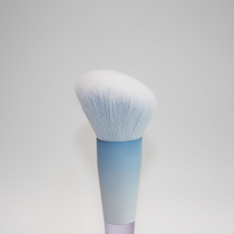 Chen Yuanyuan 10-Piece Makeup Brush Set, Blush Brush, Loose Powder Brush, Eye Shadow Brush, Nose Shadow Brush, Complete Set for Setting Makeup and Contouring