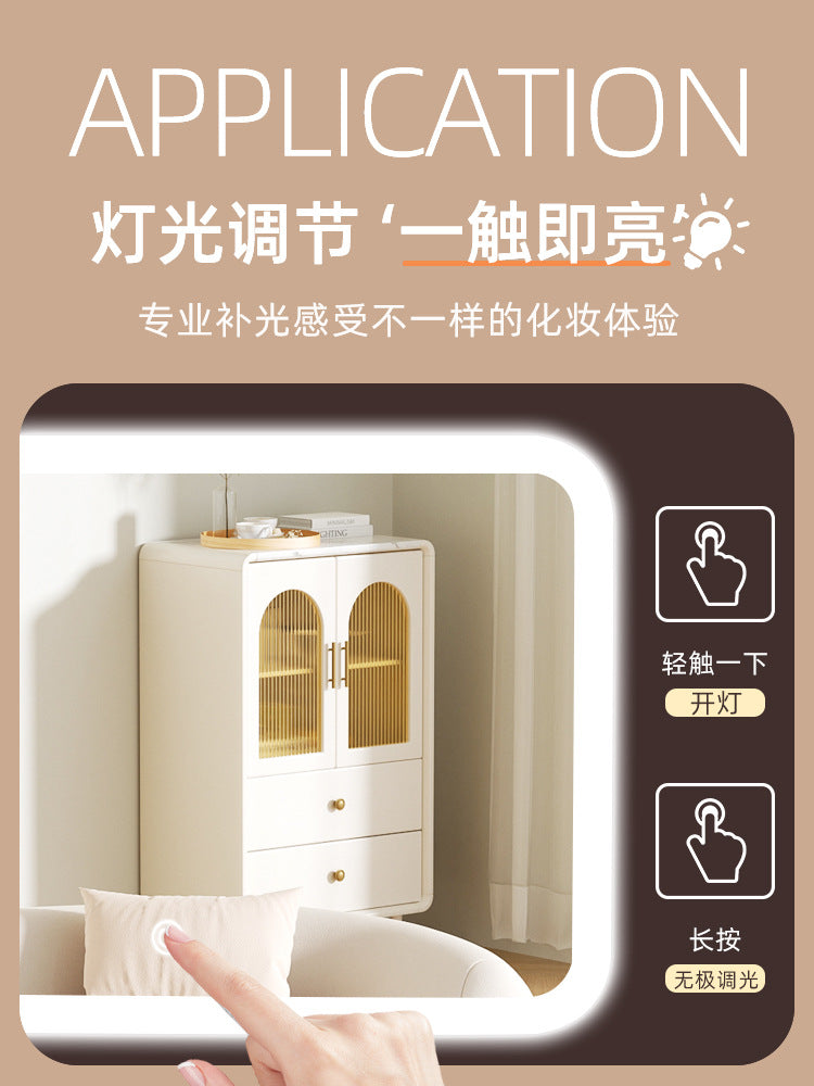Makeup Case with Light and Mirror, Led Makeup Bag, Large Capacity Makeup Box, Storage Box, Storage Bag, Multifunctional