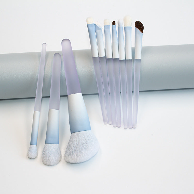 Chen Yuanyuan 10-Piece Makeup Brush Set, Blush Brush, Loose Powder Brush, Eye Shadow Brush, Nose Shadow Brush, Complete Set for Setting Makeup and Contouring
