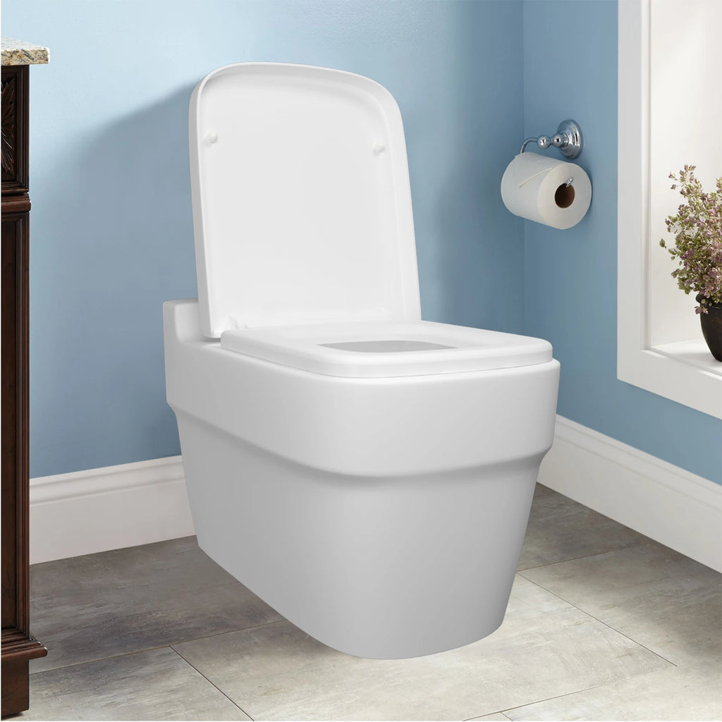 Luxury Quick Release Soft Close Toilet Seat Top Fix Easy Clean Bathroom Seat with One Set Free Top Fixing Hinges (S Shape)