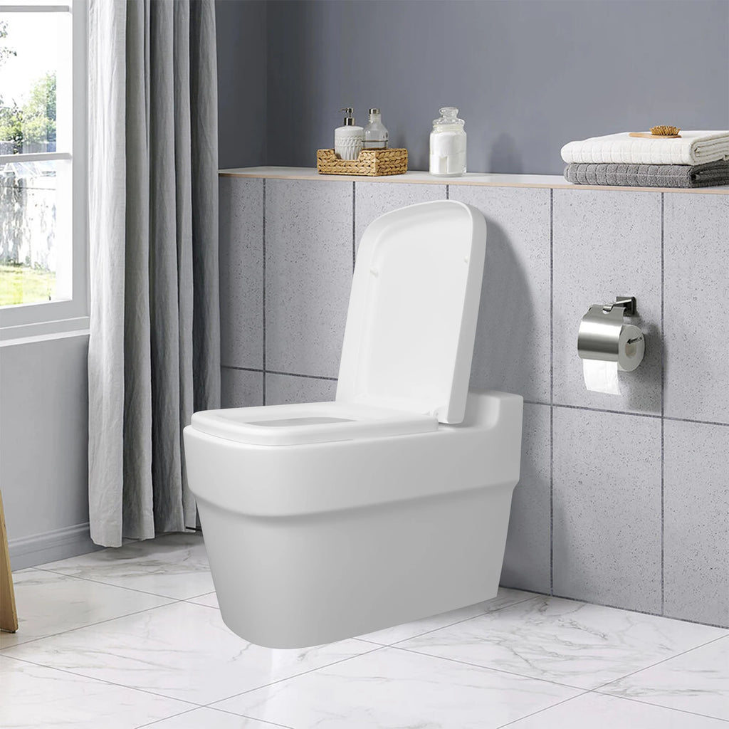 Luxury Quick Release Soft Close Toilet Seat Top Fix Easy Clean Bathroom Seat with One Set Free Top Fixing Hinges (S Shape)