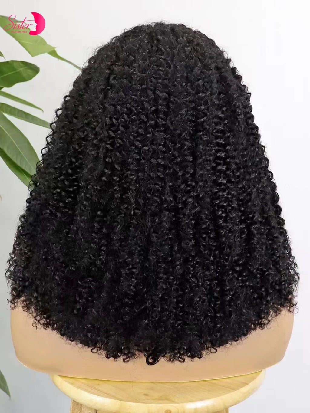 Premium 350% Density Kinky Curly Human Hair Wig - 13x4 Lace Front Bob Wig for Women