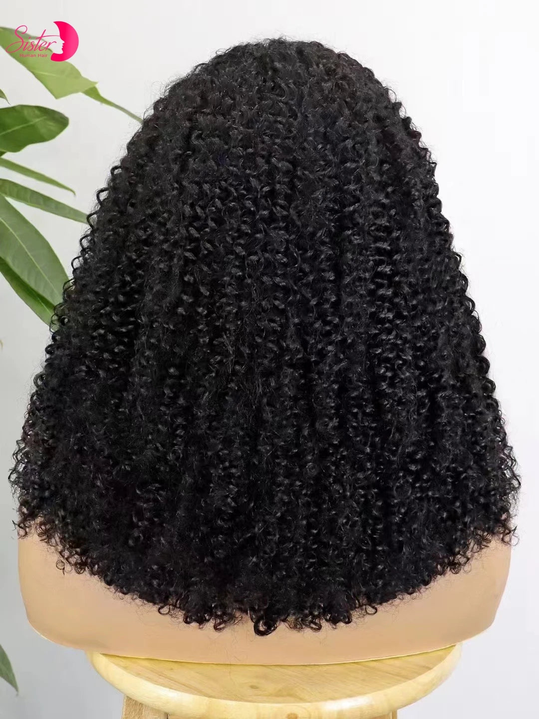 Premium 350% Density Kinky Curly Human Hair Wig - 13x4 Lace Front Bob Wig for Women