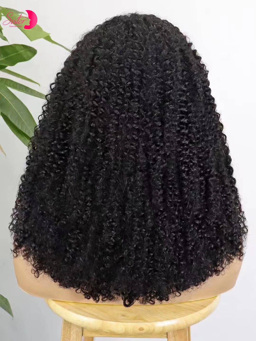 Premium 350% Density Kinky Curly Human Hair Wig - 13x4 Lace Front Bob Wig for Women