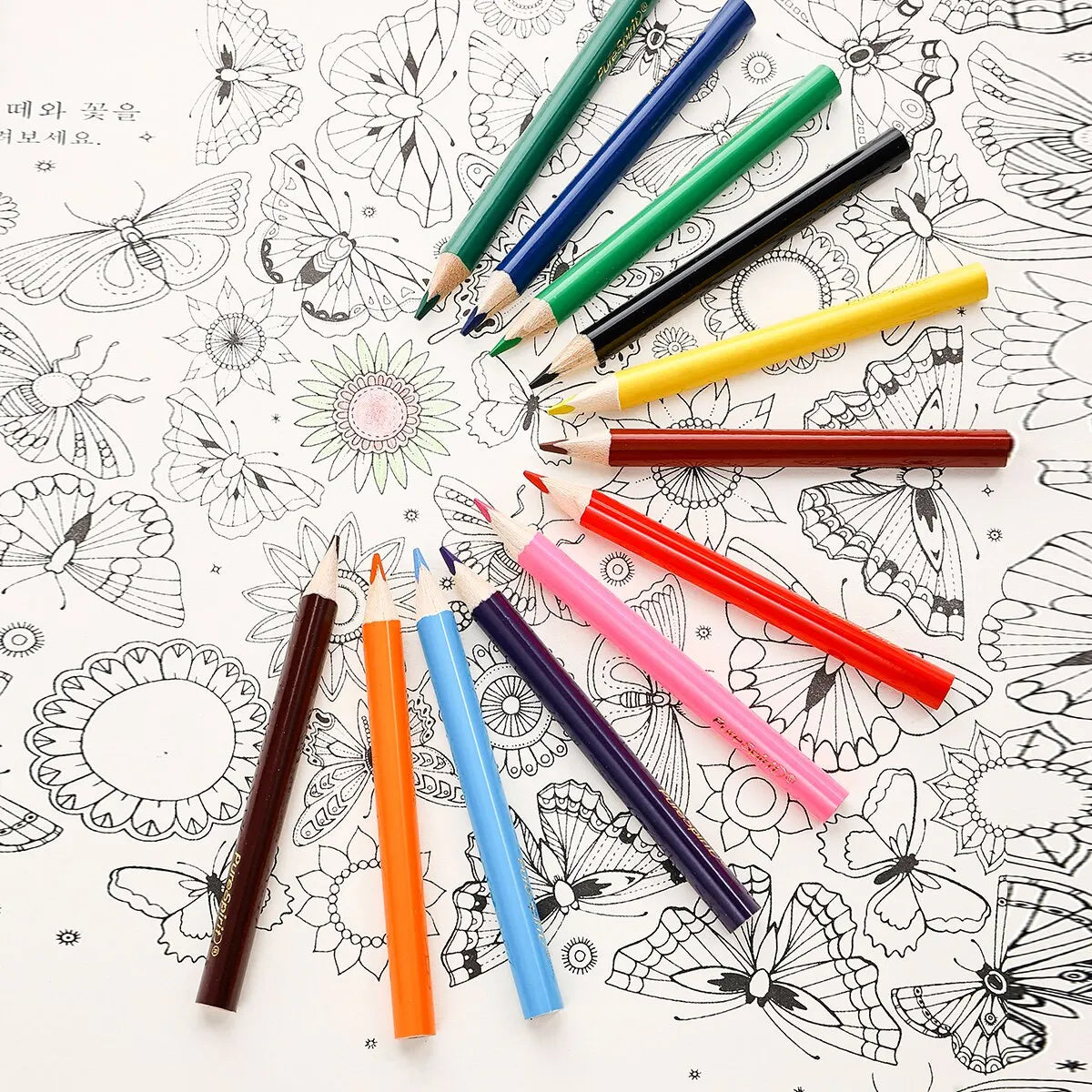 12 Colors Mini Pencil Set Short Colored Pre-Sharped Pencils for Drawing,Coloring,Shading for Kids,Students Or Children