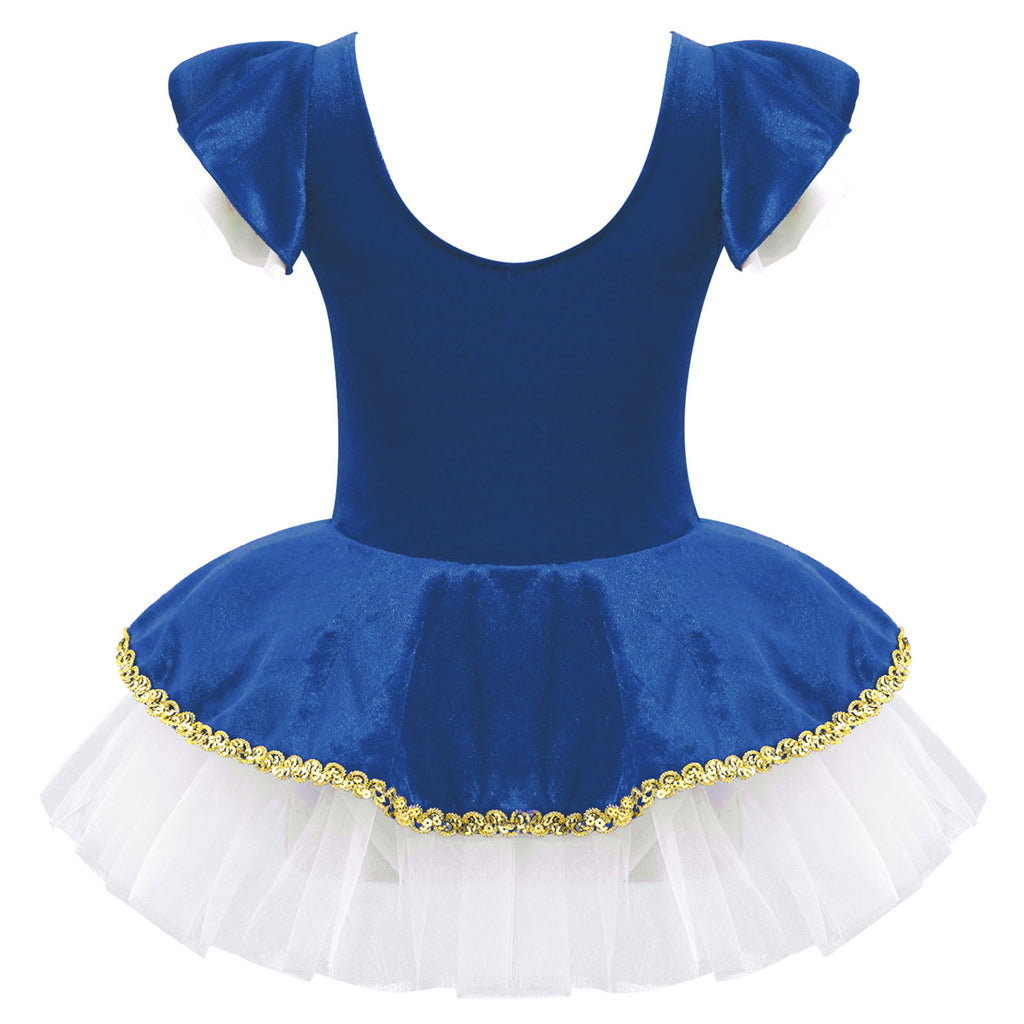 Kids Girls Children Dancer Ballet Dance Dress Gymnastic Leotard Tutu Princess Dress for Stage Performance Clothes Christmas Gift