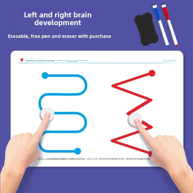 Hand-Brain Coordination Action Practice Development Set Used for Overall Brain Balance Attention Improvement Tool