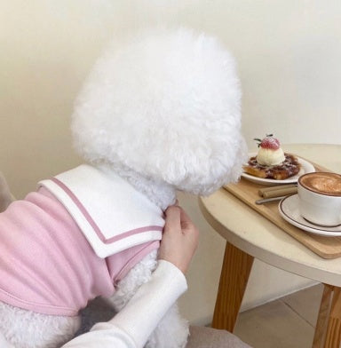 Thin Puppy Dog Clothes Cat Pet Small Puppies Spring And Summer
