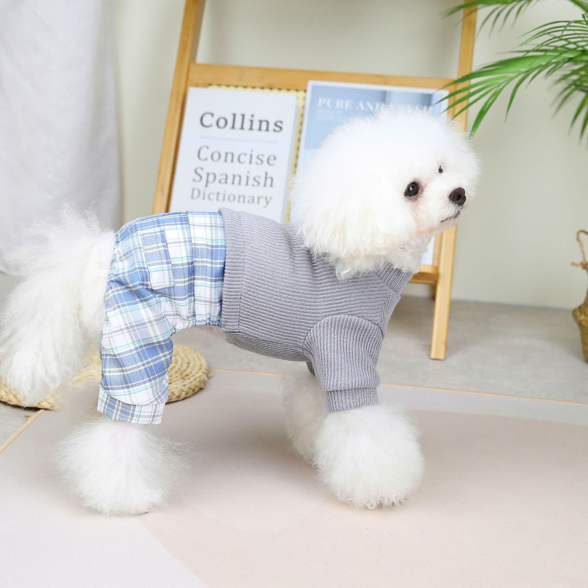 Wool Fabric Leisure Warm Sweatshirt Skirt Pants Suit Dog Clothes