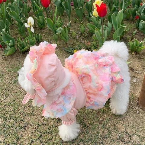 Mesh Bichon Teddy Dog Skirt