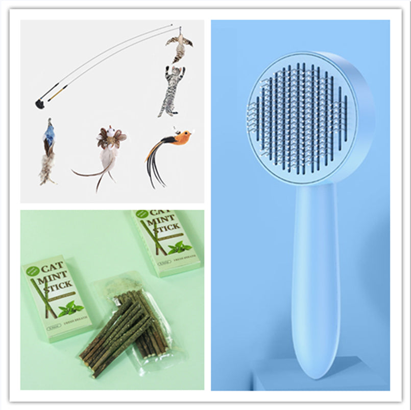 Cat Polygonum Multiflorum Mint Lollipop Self-Hi Funny Cat Molar Rod