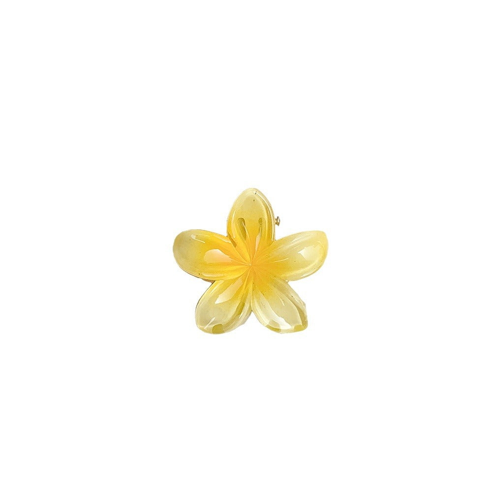 35fc55adcd28e046c670b01c21731f21