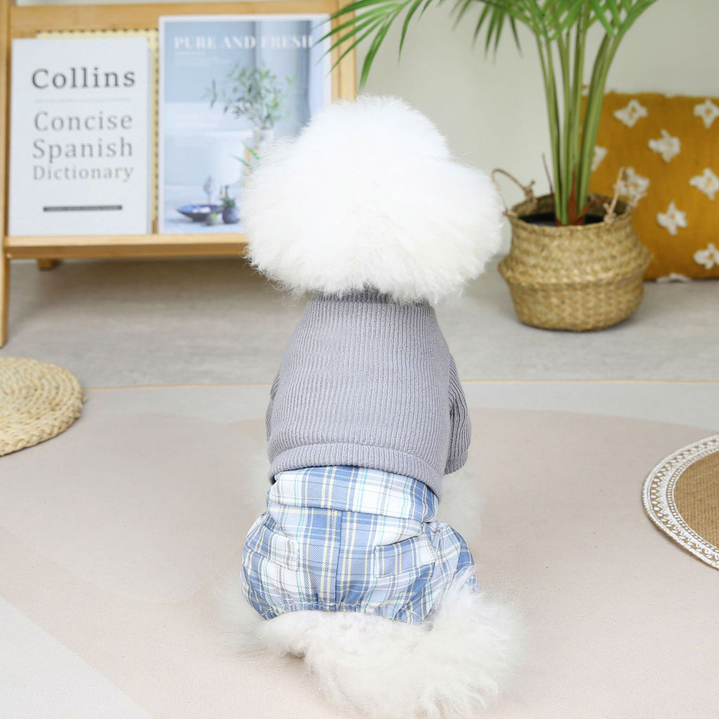 Wool Fabric Leisure Warm Sweatshirt Skirt Pants Suit Dog Clothes